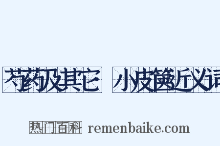 芍药及其它·小皮箧近义词是什么意思的图片